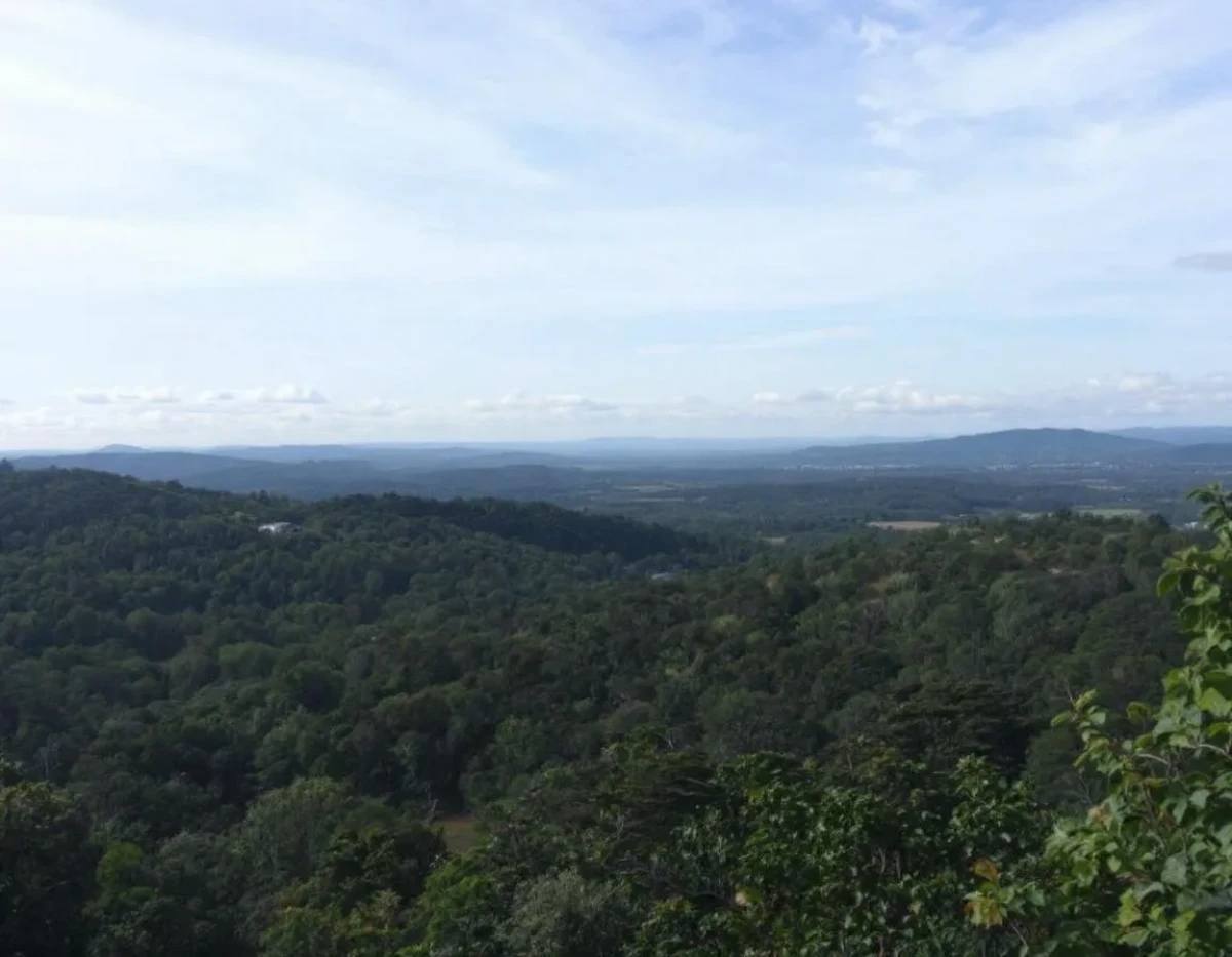 Protection juridique contre la destruction des forêts boréales : enjeux et défis contemporains